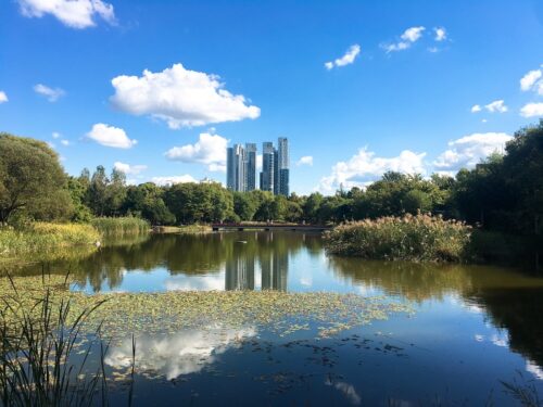 Seoul Forest