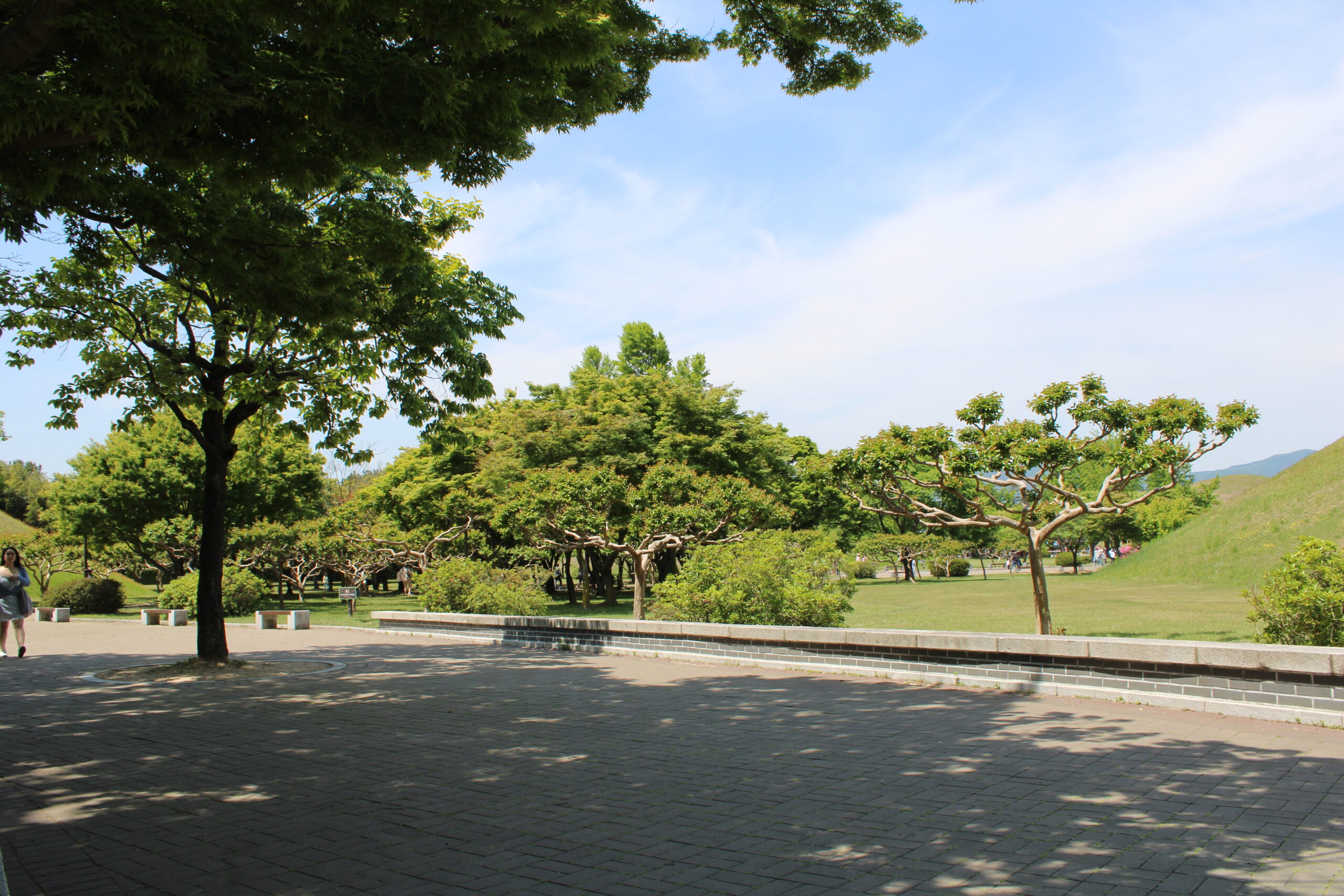 Gyeongju - Daereungwon (14)