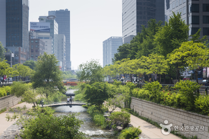 Cheonggyecheon Stream