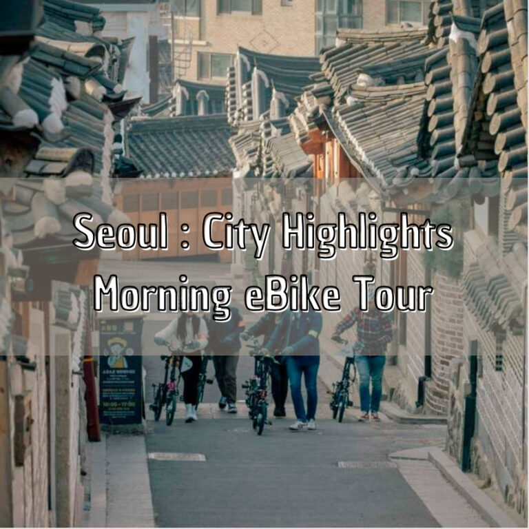 Korea one day tour Seoul one day tour Korea day tour programs Etourism