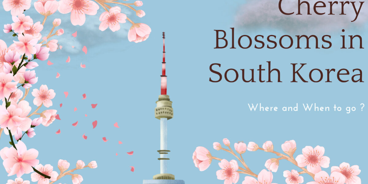 Capture d’écran 2024-03-21 à 17.35.44