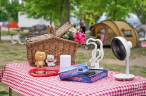 Picnic Games and Entertainment