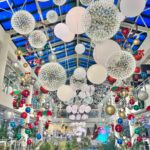 Forest outings songdo