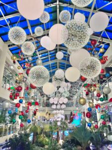 Forest outings songdo