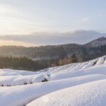 Boseong Green Tea Field