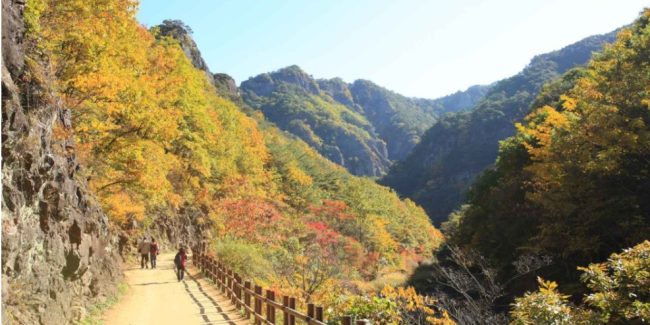 ⓒKorea Tourism Organization - Park Seonggeun