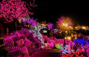 Herb Island - My So Called Creative Life