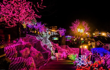 Herb Island - My So Called Creative Life