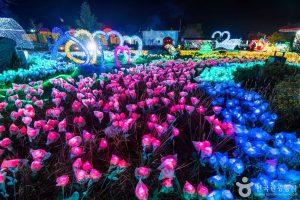 ⓒKorea Tourism Organization - Live Studio